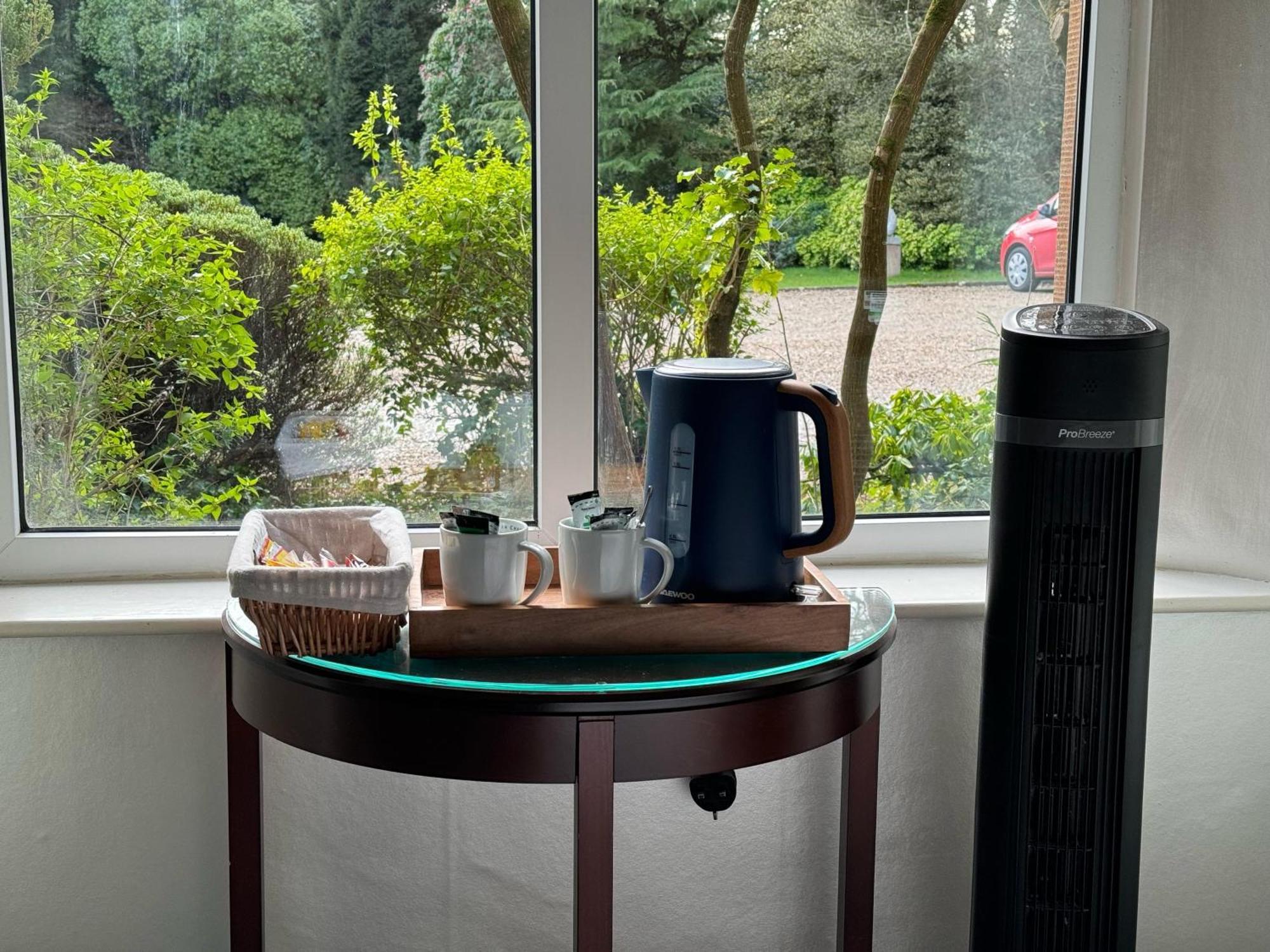 Tre-Ysgawen Hall & Spa スランゲヴニ エクステリア 写真
